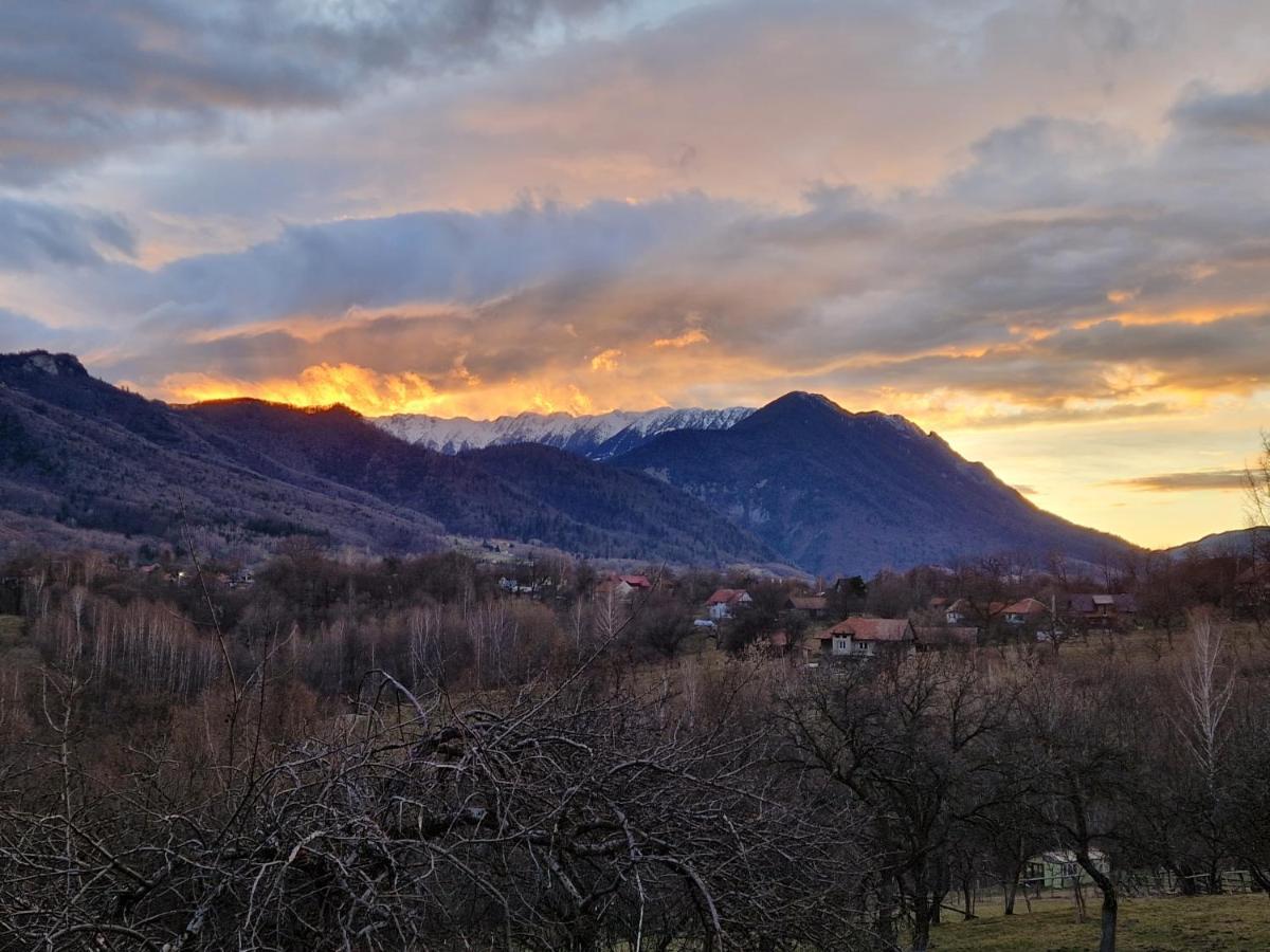 Bran Hill Villa Eksteriør bilde